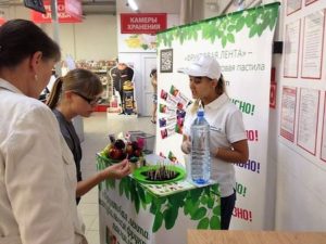 Дегустация пастилы
