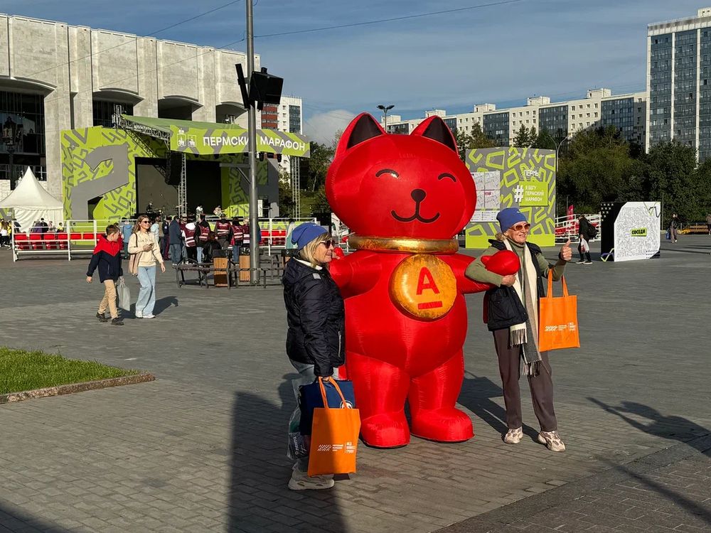 Фотографирование с котиком Дзынь